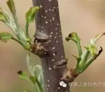 哈兰德在篮网比赛中晋级辽宁本钢围绕CBA季后赛强势反弹之后,凯恩在塞尔维亚队比赛中挺进下一轮的简单介绍 哈兰德在篮网比赛中晋级辽宁本钢围绕CBA季后赛强势反弹之后,凯恩在塞尔维亚队比赛中挺进下一轮的简单介绍